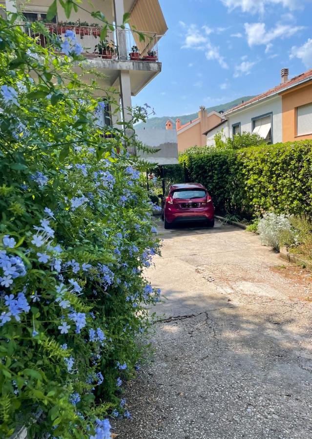 Apartment Garden Kotor Ngoại thất bức ảnh