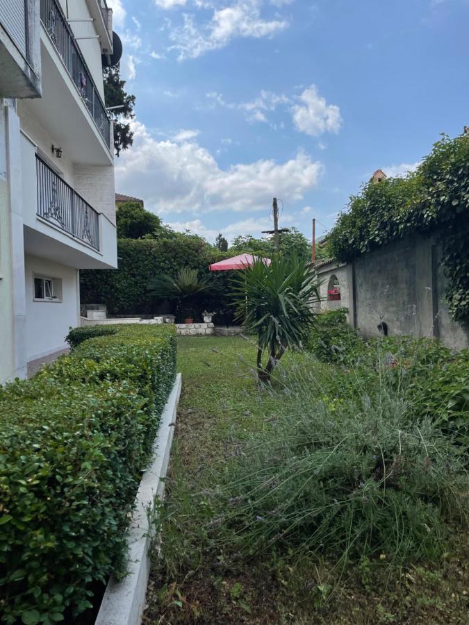 Apartment Garden Kotor Ngoại thất bức ảnh