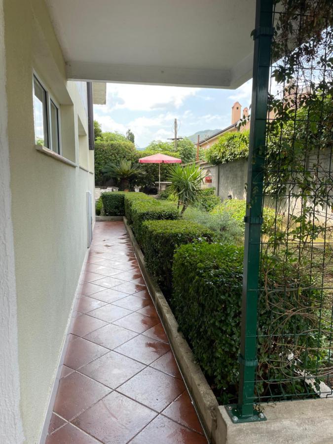 Apartment Garden Kotor Ngoại thất bức ảnh