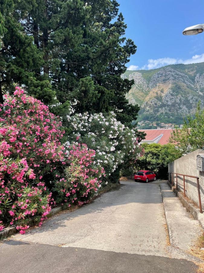 Apartment Garden Kotor Ngoại thất bức ảnh