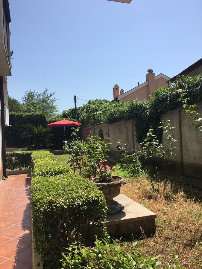 Apartment Garden Kotor Ngoại thất bức ảnh